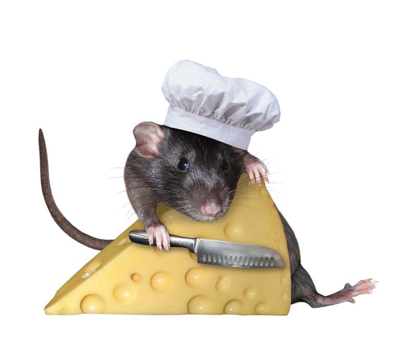 Are your patent claims a mousetrap with no cheese?